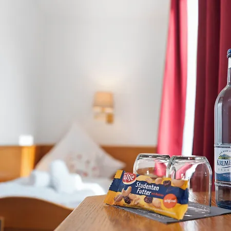 Garni Traube Hotel Friedrichshafen