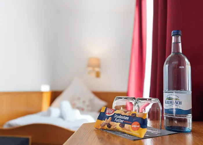 Garni Traube Otel Friedrichshafen